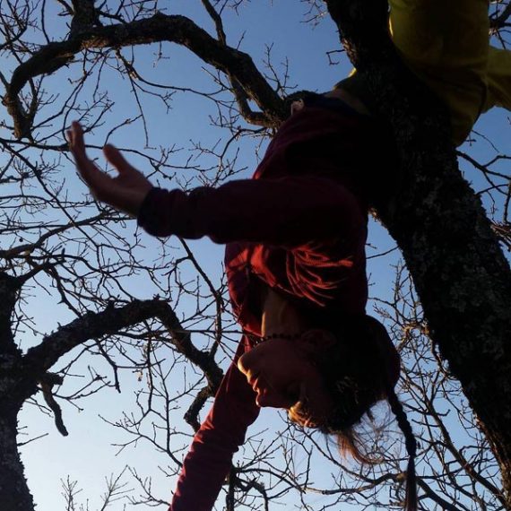 Danse dans l'arbre © Cie du Parquet Nomade