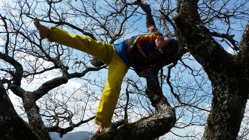 Danse dans l'arbre, Toscane © Cie du Parquet Nomade