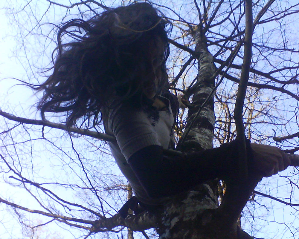 Danse dans l'arbre © Cie du Parquet Nomade